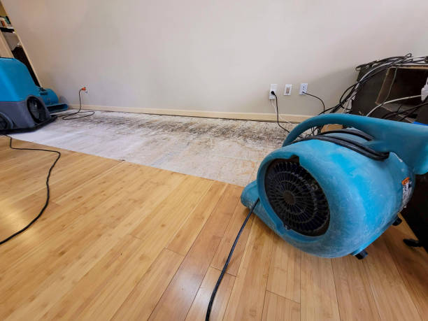 Professional Structural Drying technician working in Elysian, MN